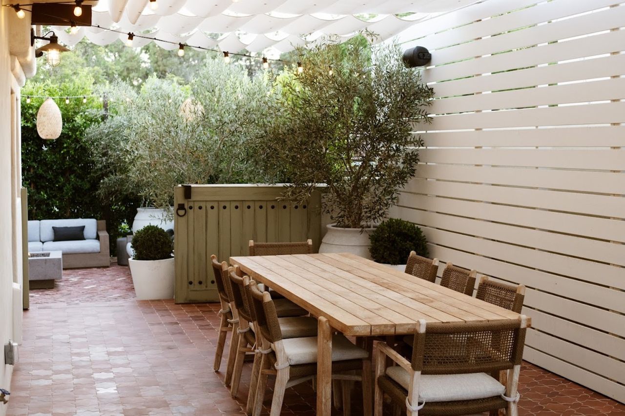 A backyard with a potted olive tree