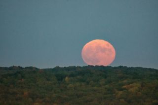 a full moon rises against a dim forested hill