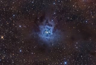 Iris Nebula by Brecher