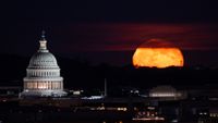 An orange full moon rises with the Capitol Building to its left in Washington D.C. at night.