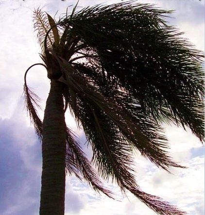 santa ana winds