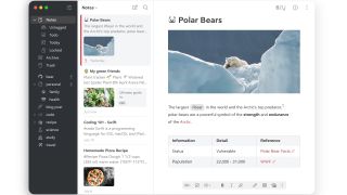 Bear Mac App