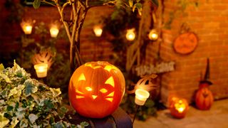 10 fall gardening trends: image of halloween pumpkin