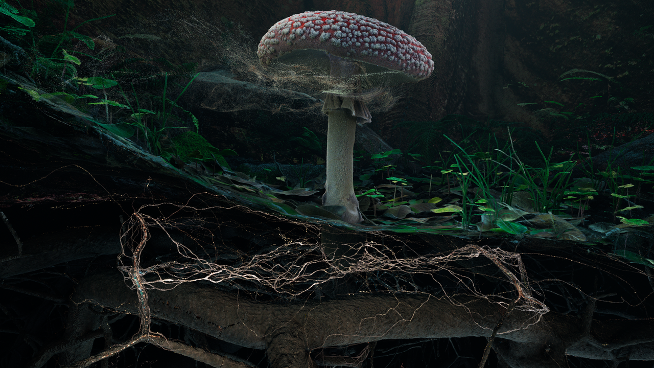 A fly agaric mushroom captured by experiential artist collective Marshmallow Laser Feast.