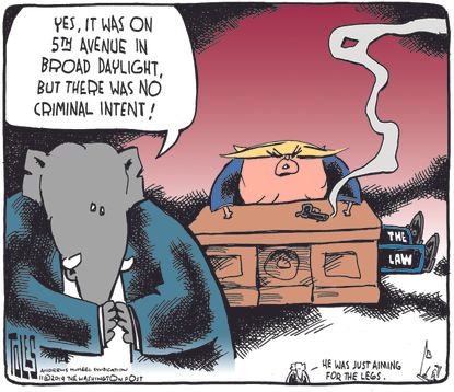 Political Cartoon U.S. Trump Broad Daylight Criminal Intent