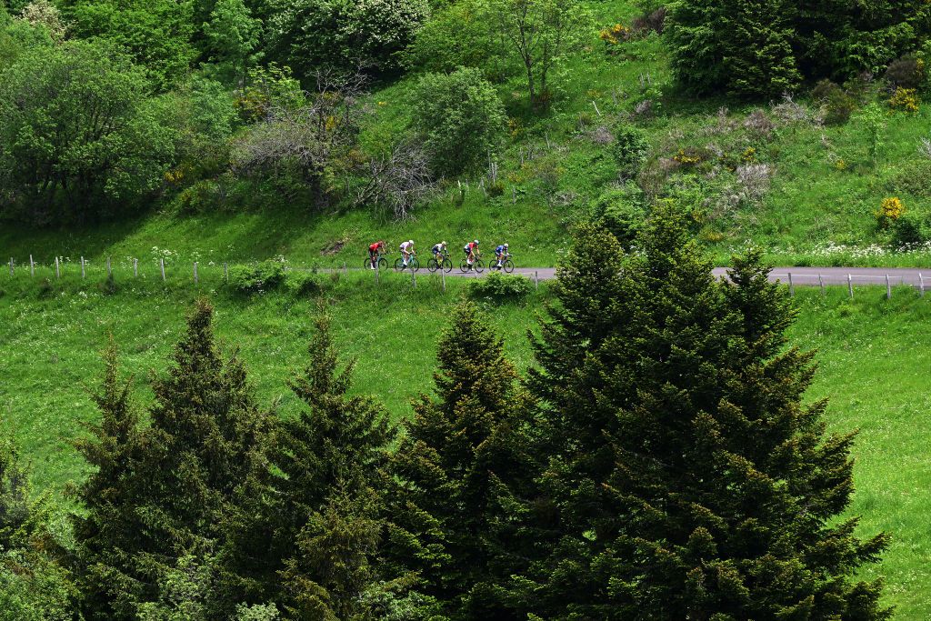 The forests of the Crit&eacute;rium du Dauphin&eacute;