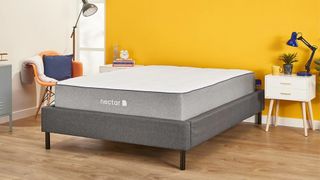 What is a platform bed: a lifestyle image of the Nectar Platform Bed with a Nectar mattress on top of it