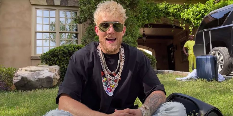 Jake Paul Will Not Stop Taunting Conor McGregor After Spending $100K On ...