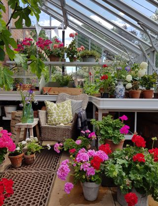 greenhouse interior showing plants and seating