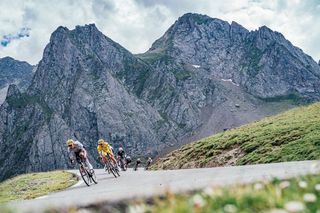 The peloton during stage 14 of the 2024 Tour de France