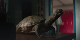 turtle easter egg in It Chapter 2