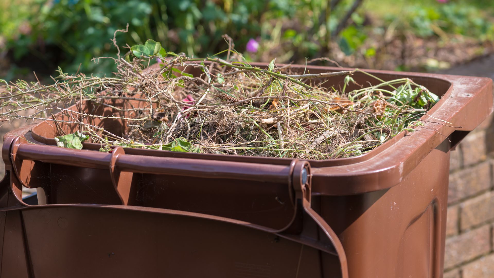 picture of open garden waste bin with plant matter
