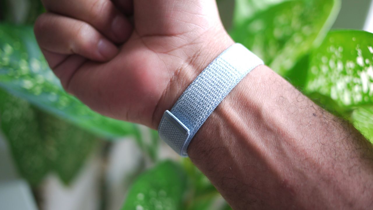Google Fitbit Air