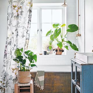 House plants in bathroom with bathtub and shower curtain