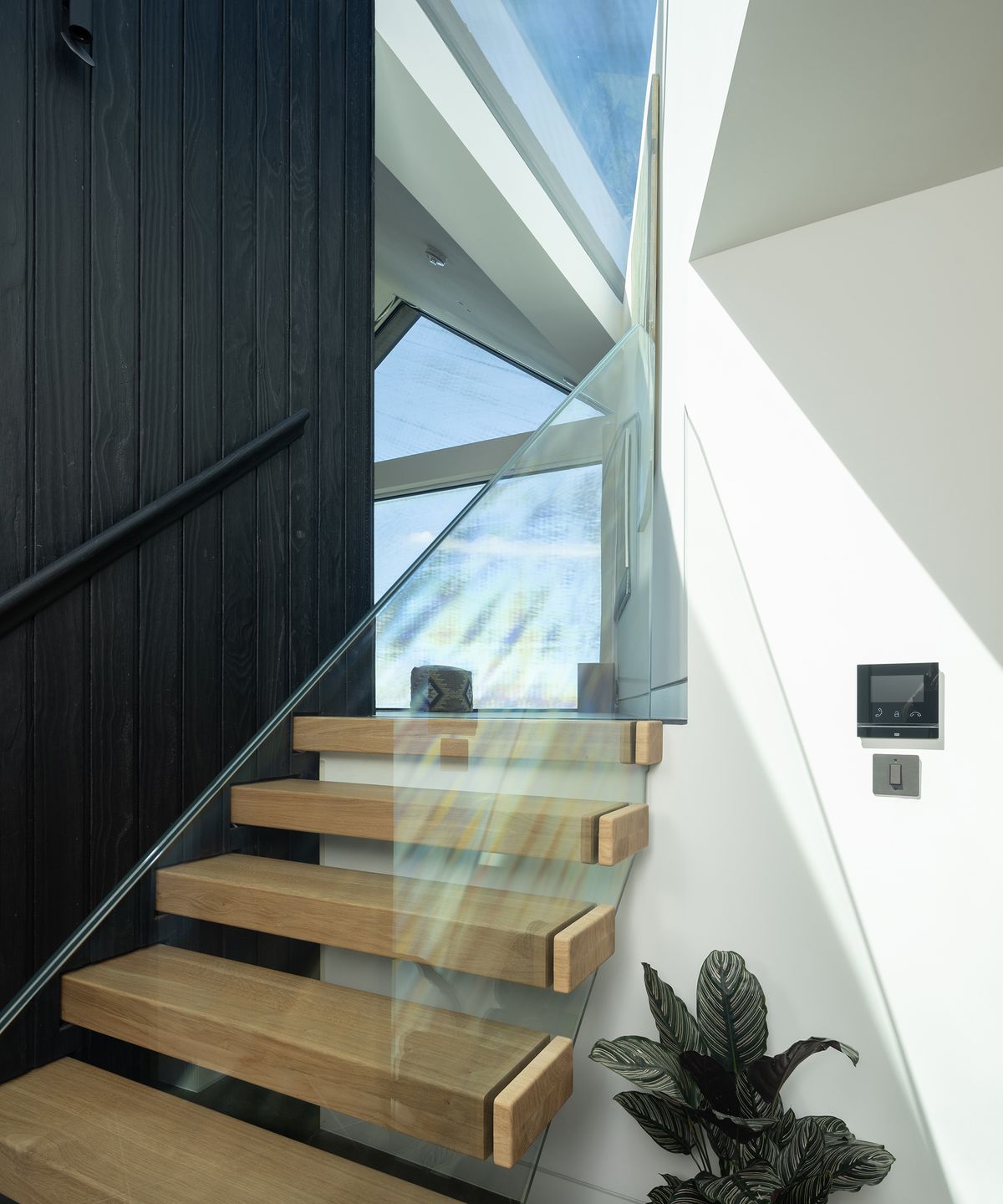 A wooden staircase with glass balustrade and black timber wall to one side
