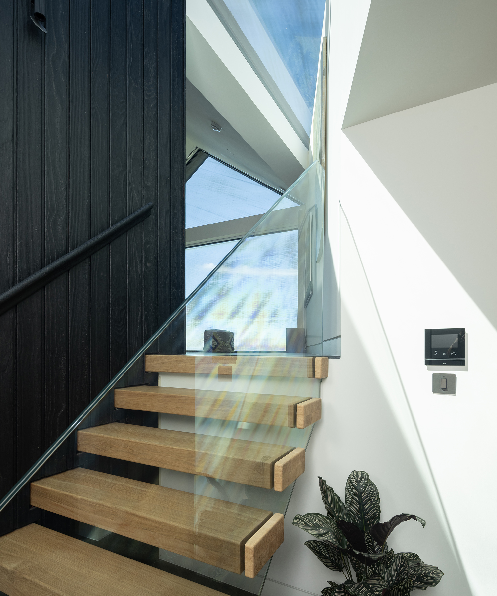 A wooden staircase with glass balustrade and black timber wall to one side