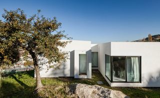 An exterior view of Casa Aa featuring its white walls and clear glass panes with a big tree by the house