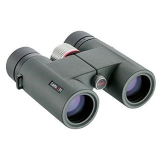 Kowa BD32-8XD binoculars