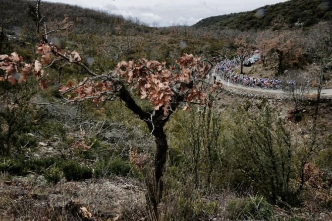 The Paris-Nice peloton heads up through a barren landscape to La Montagne de Lure