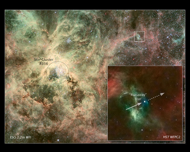 Runaway Star Flees Birthplace at Breakneck Speed