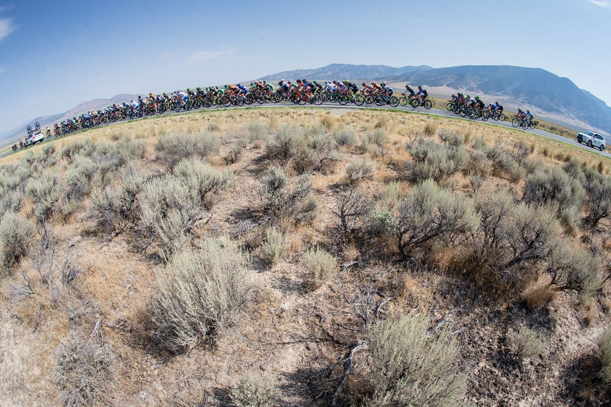 Dry landscapes were a feature of stage 4