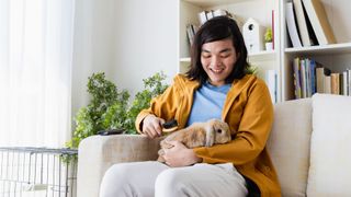 Man grooming rabbit by brushing it