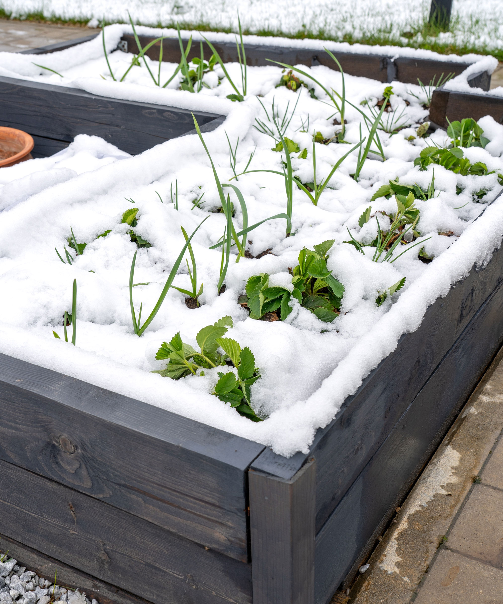 wooden raised bed in winter covered in snow