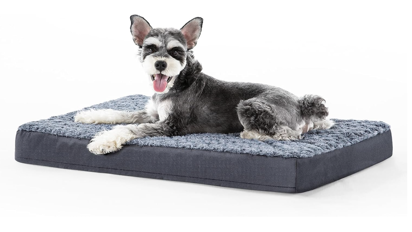 Terrier on flat orthopaedic dog bed: Best dog beds for crates