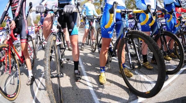 Strong legs, expensive wheels