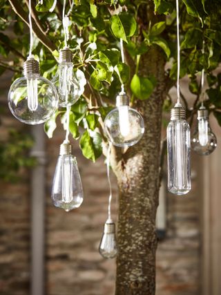 Solar vintage-style lights hanging in tree