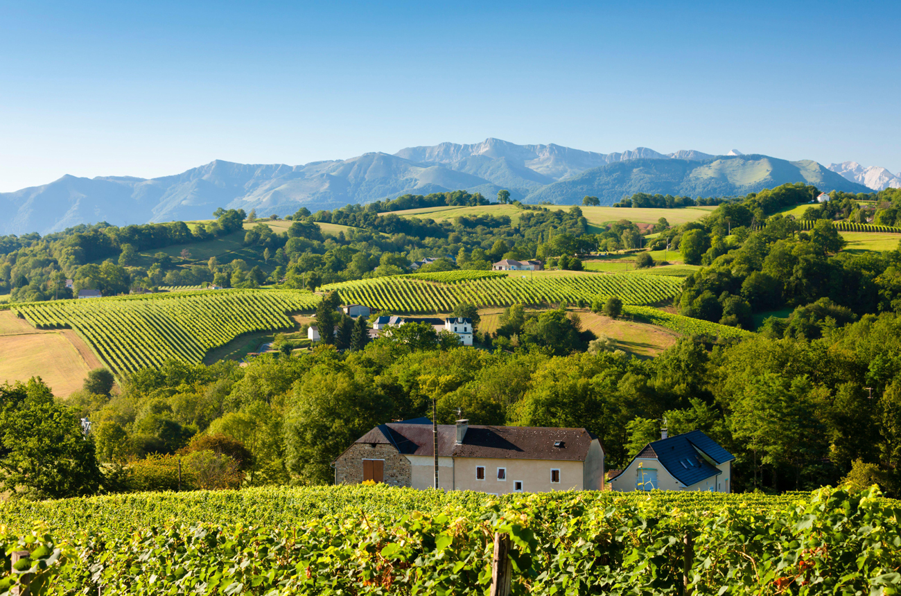 wines of southwest france