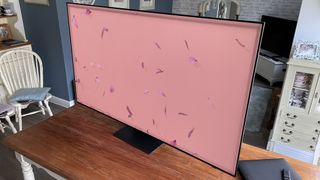 Samsung S95C OLED-TV som visar abstrakt rosa bild på skärmen.