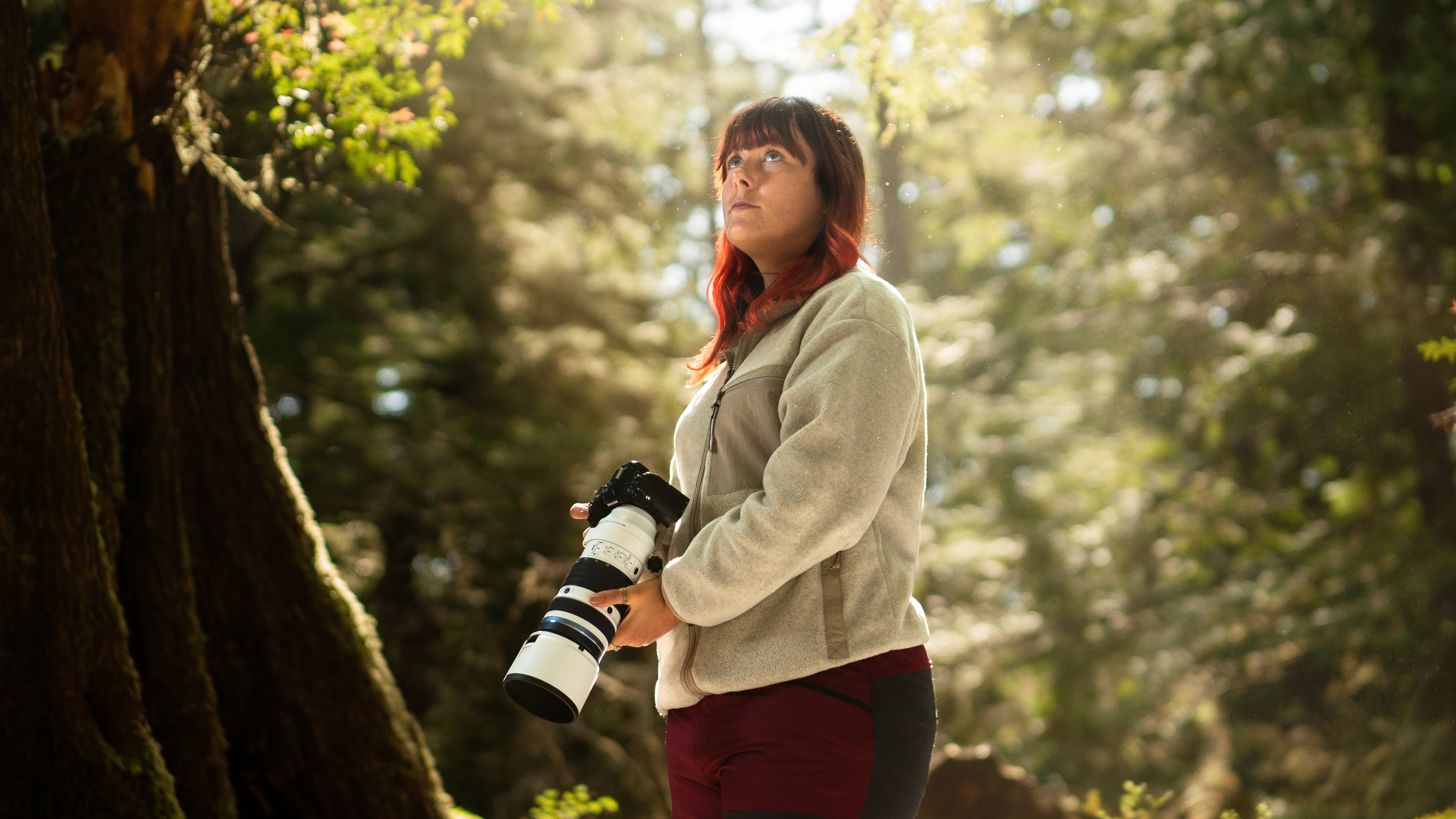 The OM System 50-200mm f/2.8 Pro IS