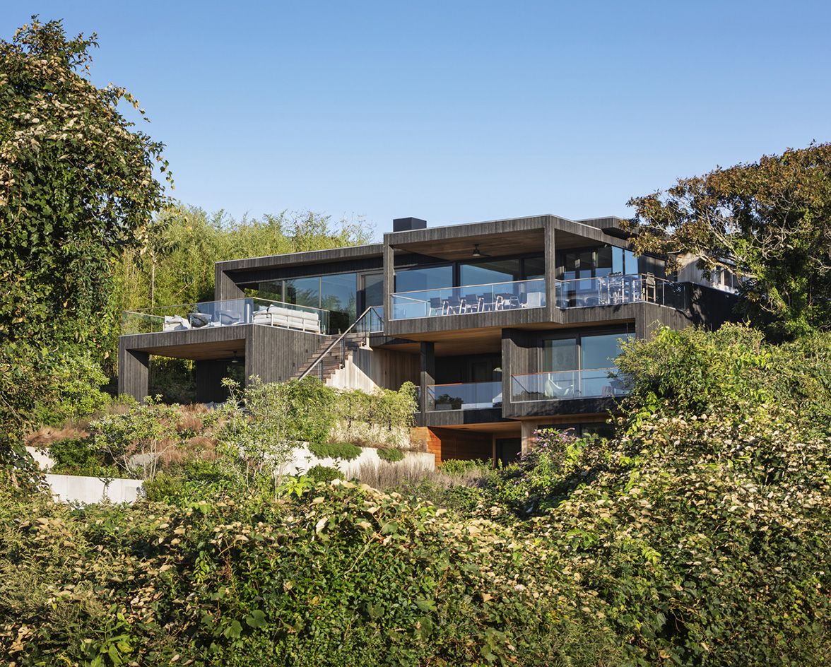 Hither Hills by Robert Young with its dark geometric forms peeking through foliage