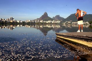 Pollution can rob marine ecosystems of their oxygen. On March 6, 2000, thousands of dead fish surfaced in the Rodrigo de Freitas lagoon in Rio de Janeiro, Brazil, suffocated after pollution flooded the waters.