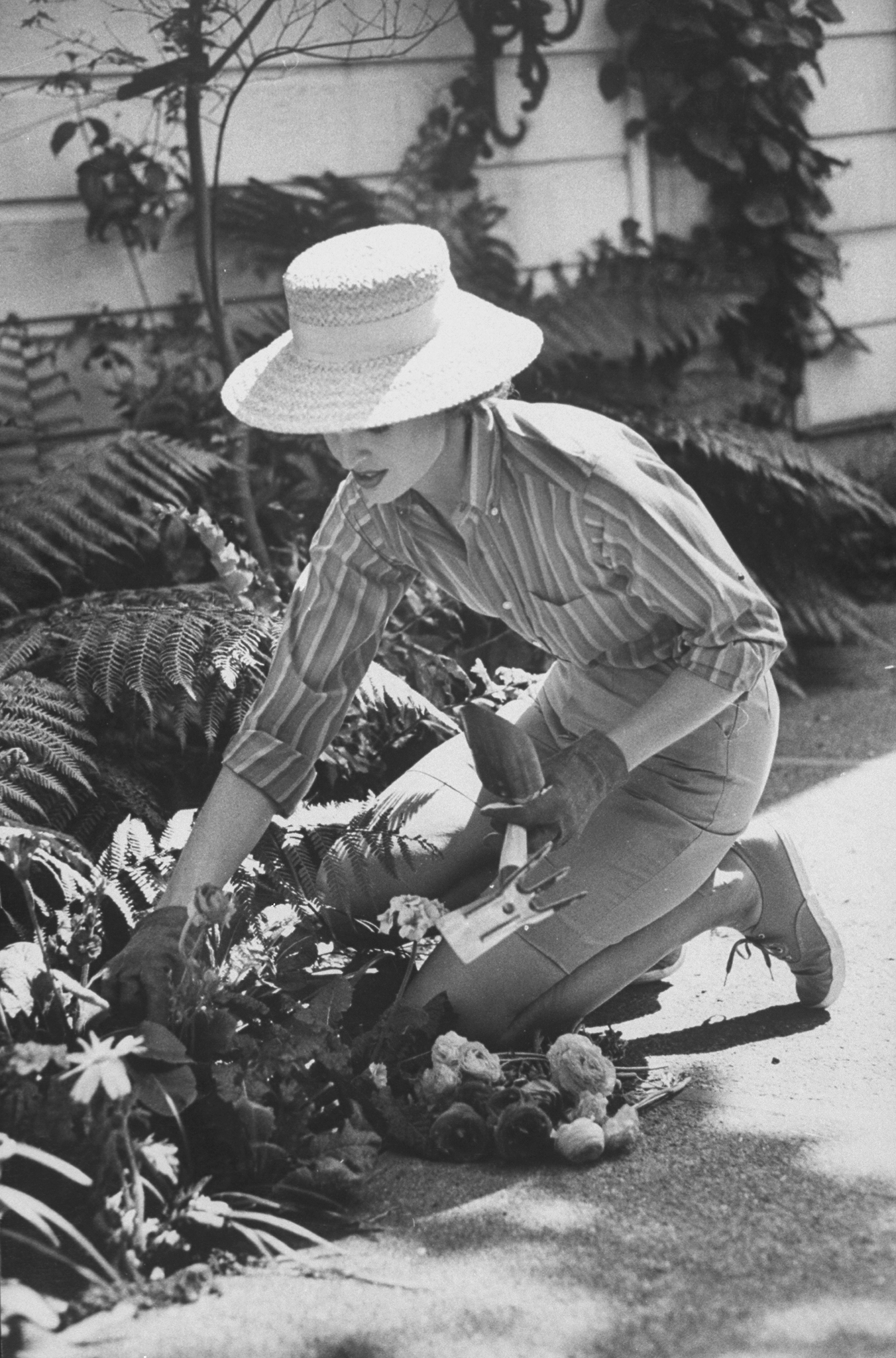 Black and white photograph of a woman in shorts, a stripe shirt and straw hat kneeling in front of a flowerbed and gardening