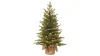 National Tree Company 'Feel Real' Pre-lit Artificial Mini Christmas Tree
