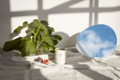 Sustainable candles: a product shot of August&amp;Piers sustainable candles