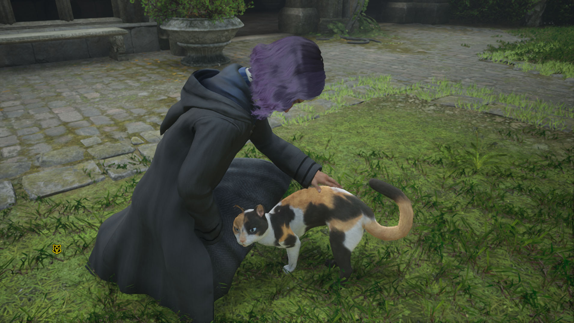 Hogwarts Legacy petting cats