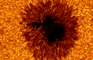 sunspot