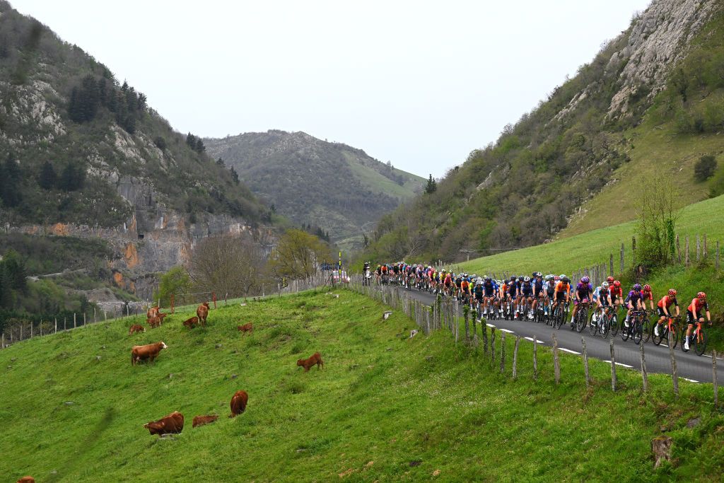 EIBAR SPAIN APRIL 06 LR Omar Fraile of Spain Ethan Hayter of The United Kingdom and Team INEOS Grenadiers and a general view of the peloton climbing to during the 63rd Itzulia Basque Country 2024 Stage 6 a 1378km stage from Eibar to Eibar UCIWT on April 06 2024 in Eibar Spain Photo by Tim de WaeleGetty Images