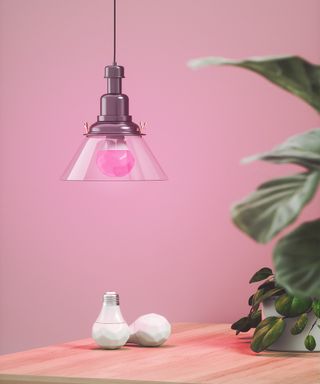 smart bulb pictured in front of a pink wall