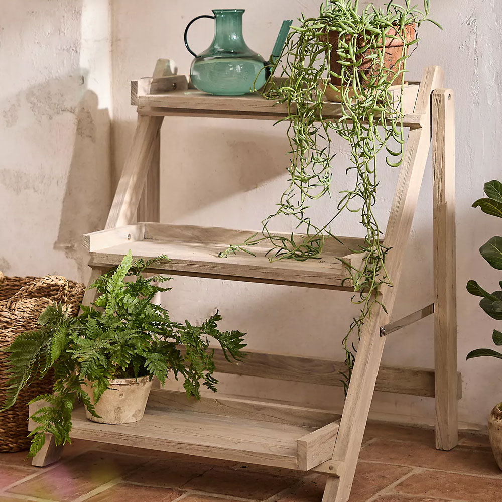 Anthropologie