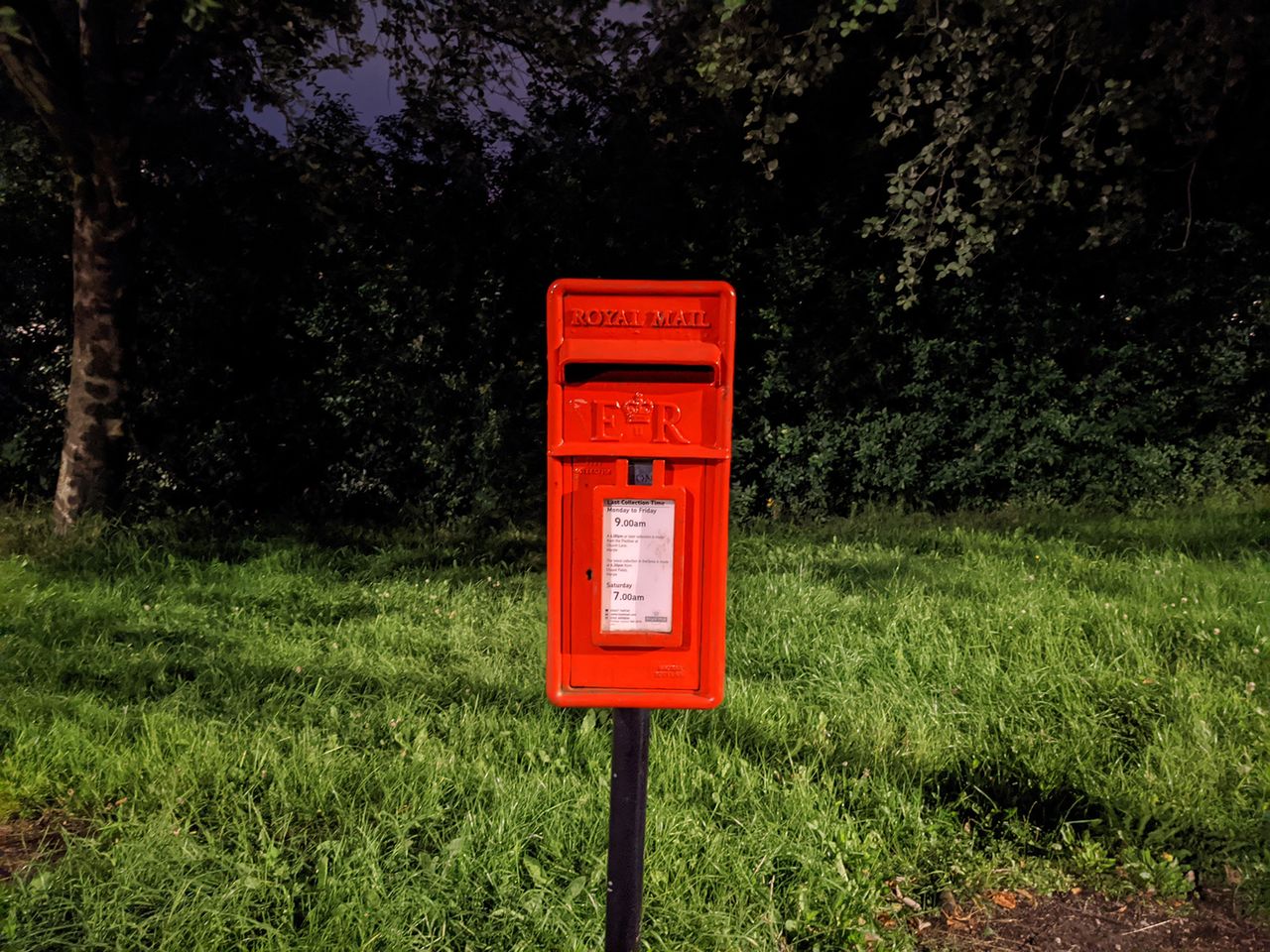 Google Pixel 4a camera sample