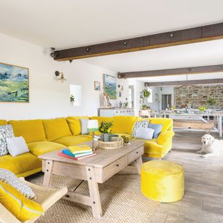 open plan living and dining room with yellow velvet l-shaped sofa, armchair and foot stool with wooden coffee table in centre. Wooden floor and dog