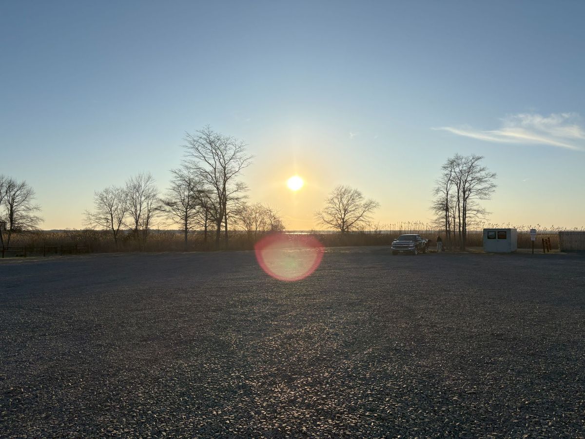 Apple iPhone 16 dynamic range sample.