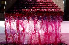 Dominique L&eacute;andre Chevalier