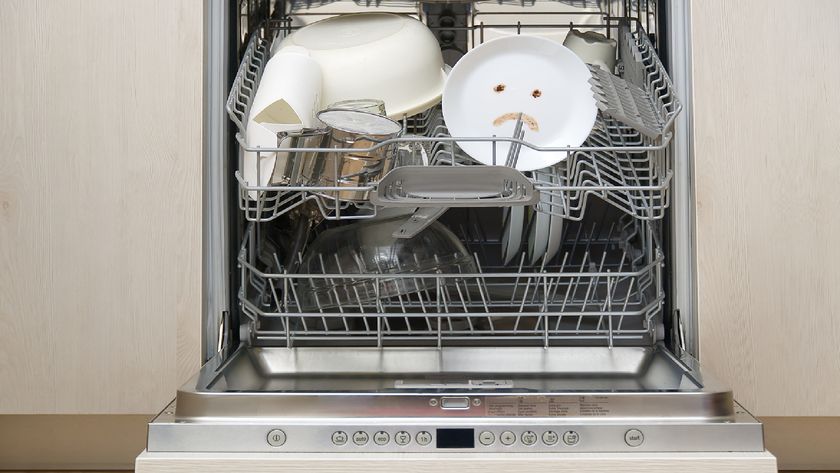 Dishwasher with poorly washed dishes