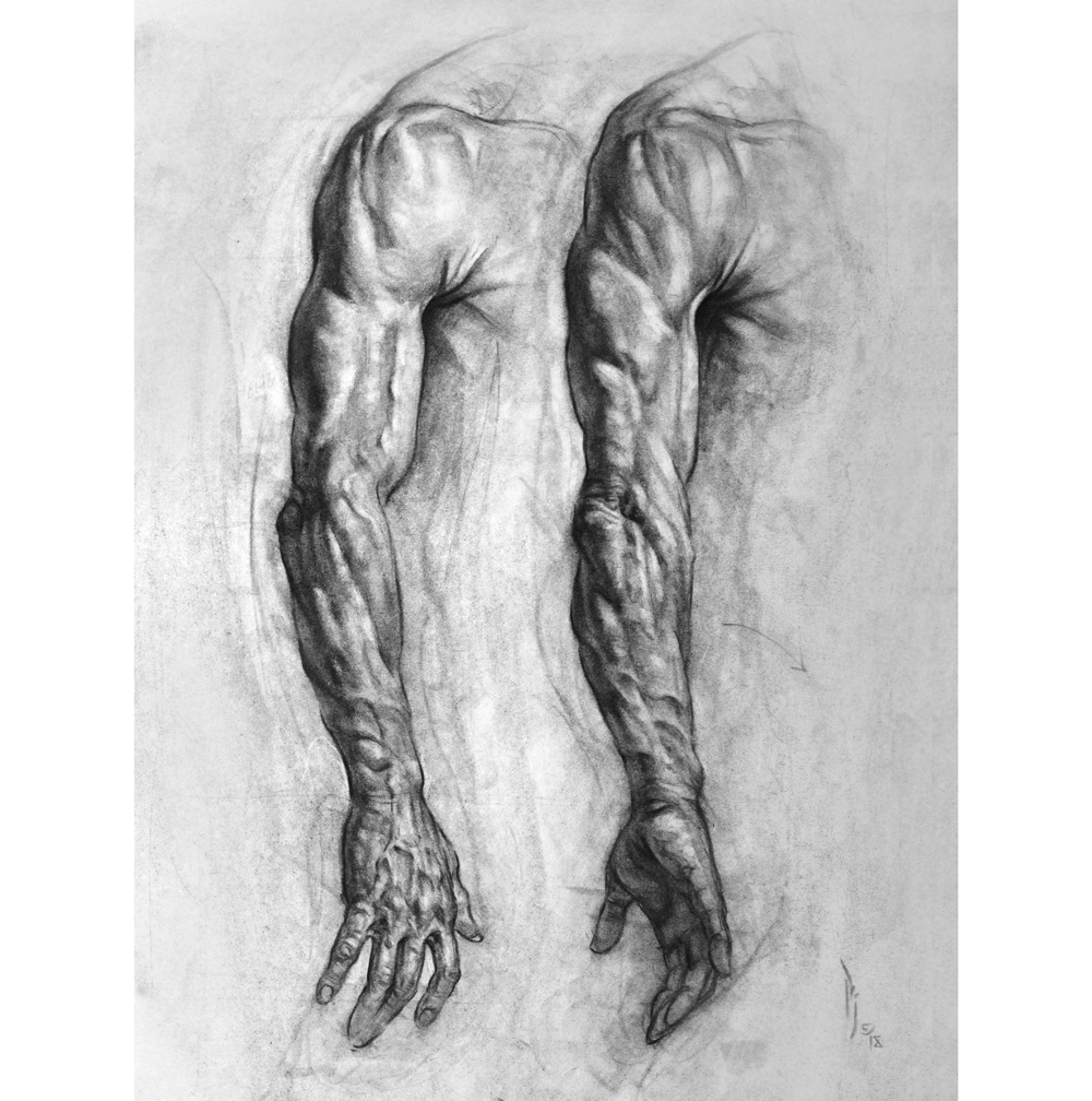 human arms drawing