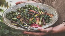 Braised chard in a rustic dish